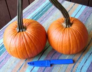 Kuhn Rikon paring knife with twin pumpkins